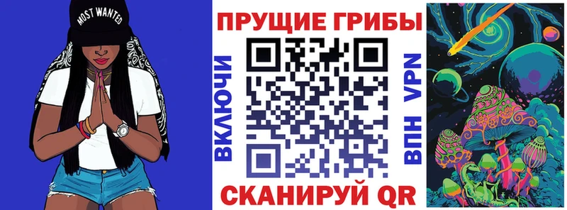 Купить  Инта  Псилоцибиновые грибы мицелий 